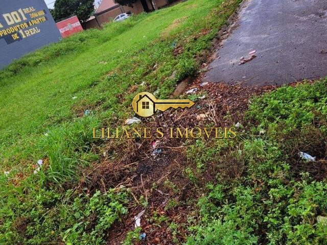 Terreno para Venda em Araraquara - 3