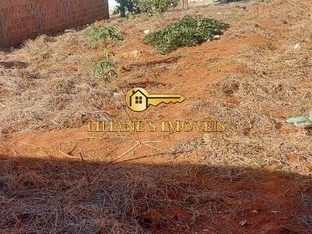 #TE0100 - Terreno para Venda em Araraquara - SP - 3
